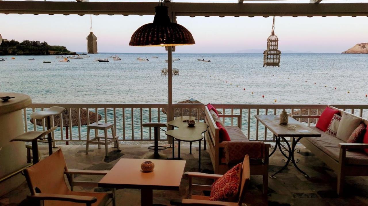 Bloom Villa By The Sea (Adults Only) Agia Pelagia Exteriör bild